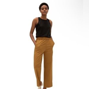 Everlane The Easy Straight Leg Chino Pant Amber size 2